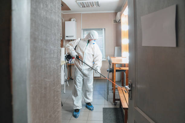 Best Industrial Mold Remediation  in Fort Lee, NJ