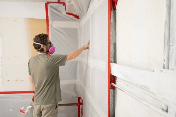 Reliable Fort Lee, NJ Mold Removal Solutions