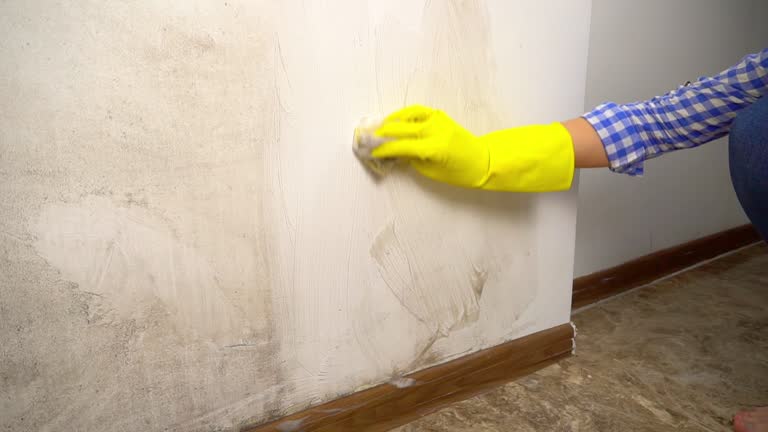 Best Mold Removal for HVAC Installations  in Fort Lee, NJ