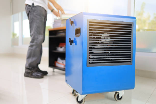 Best Real Estate Mold Inspection  in Fort Lee, NJ