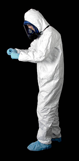Best Mold Damage Restoration  in Fort Lee, NJ