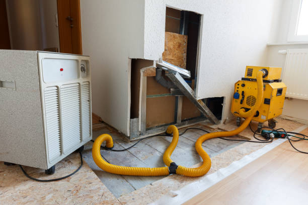 Best Mold Remediation for Healthcare Facilities  in Fort Lee, NJ