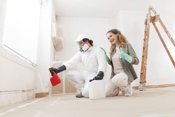 Best Mold Odor Removal Services  in Fort Lee, NJ