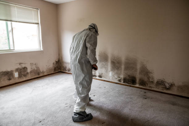 Best Airborne Mold Testing  in Fort Lee, NJ