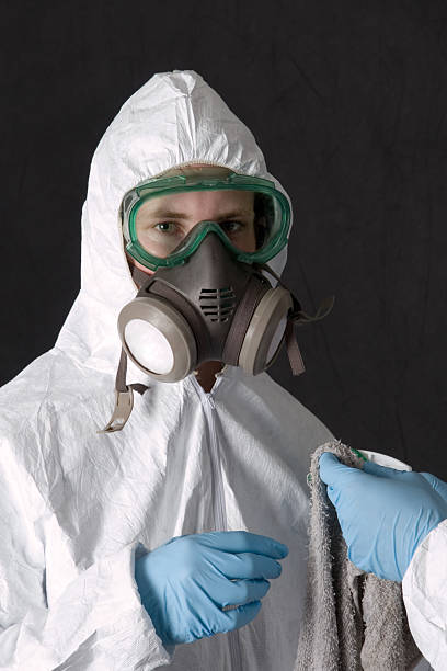 Best Emergency Mold Remediation  in Fort Lee, NJ